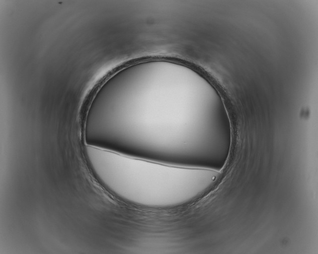 X0000090911270200707301025