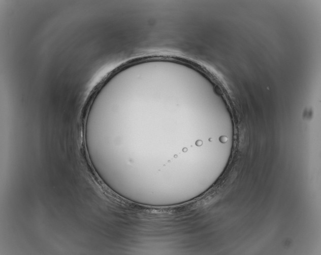 X0000090911271200707301025