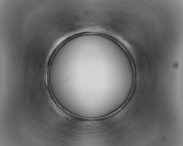 X0000090911272200707301025