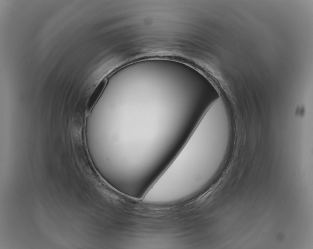 X0000090911273200707301025