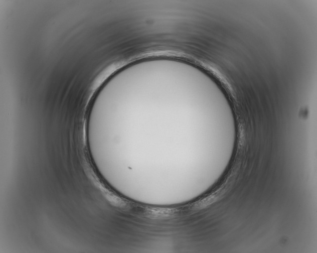 X0000090911274200707301025