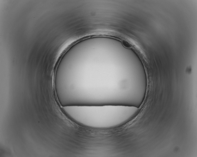 X0000090911275200707301025