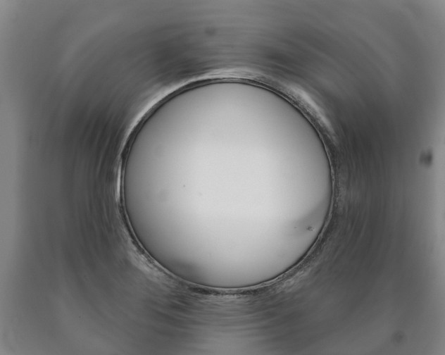 X0000090911276200707301025