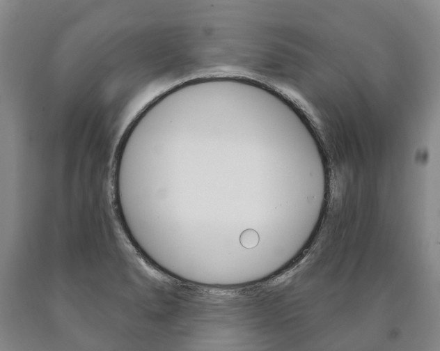 X0000090911278200707301025