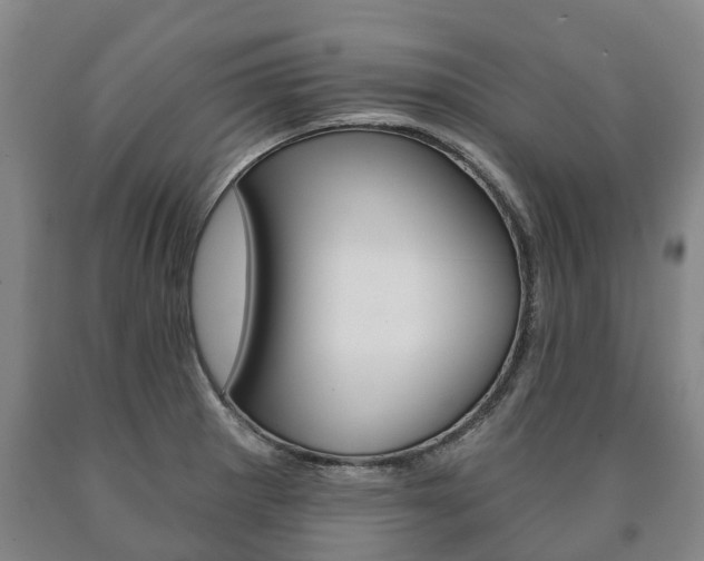 X0000090911281200707301025