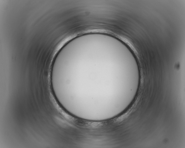 X0000090911282200707301025