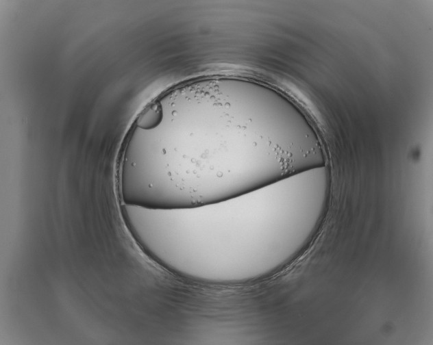X0000090911283200707301025