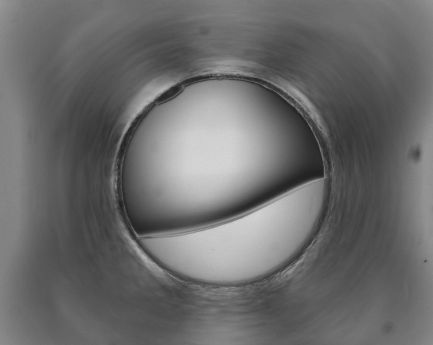 X0000090911285200707301025