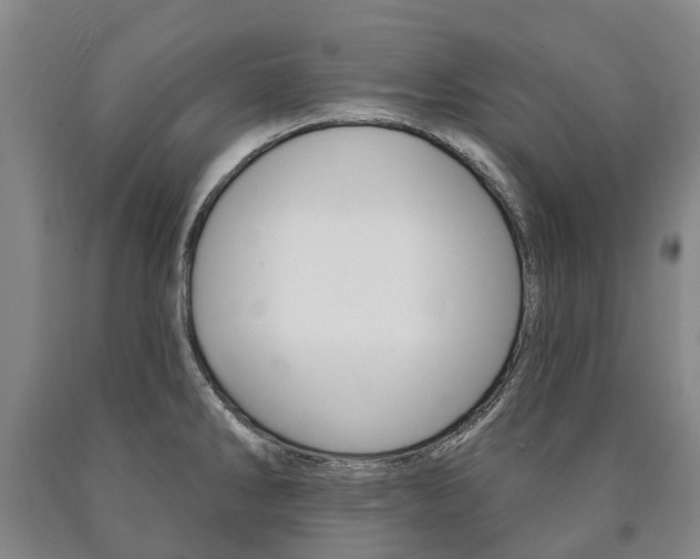 X0000090911286200707301025