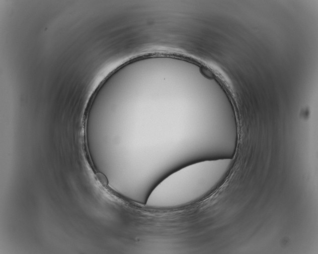 X0000090911287200707301025