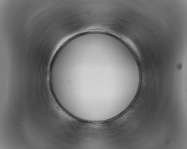 X0000090911288200707301025