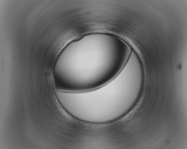 X0000090911289200707301025