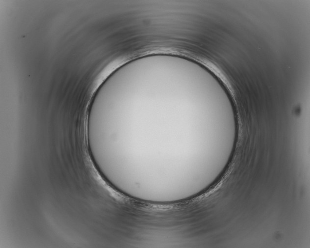 X0000090911290200707301025