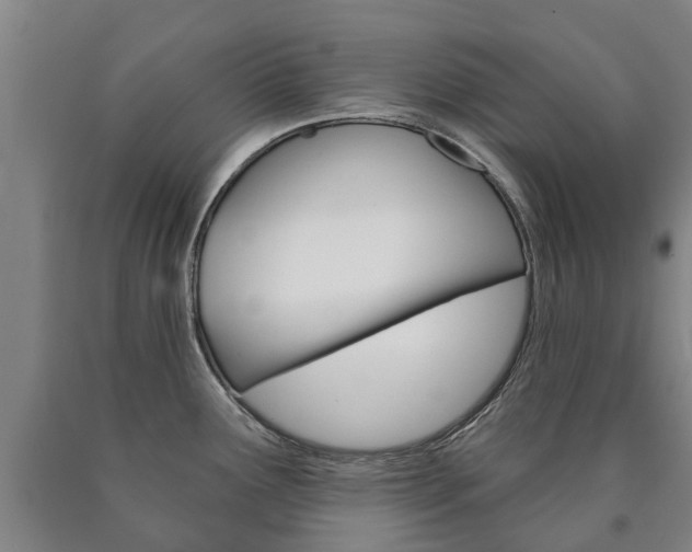 X0000090911291200707301025