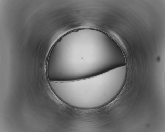 X0000090911292200707301025