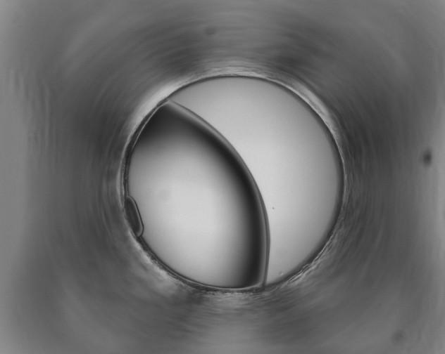 X0000090911293200707301025