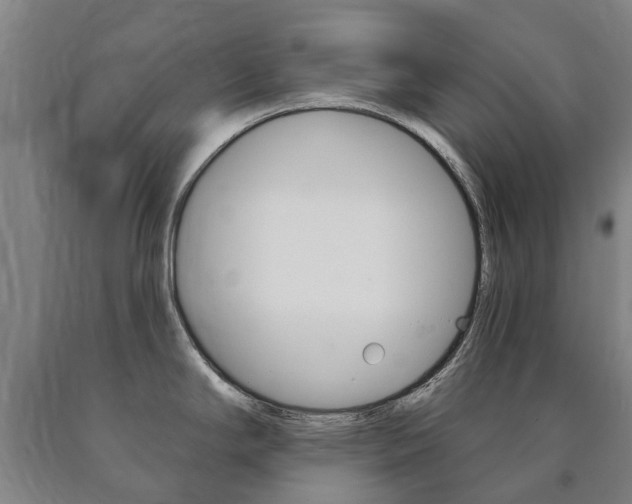 X0000090911294200707301025