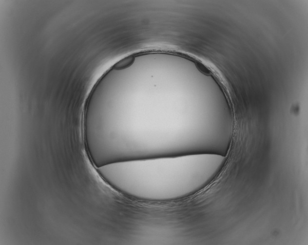 X0000090911295200707301025