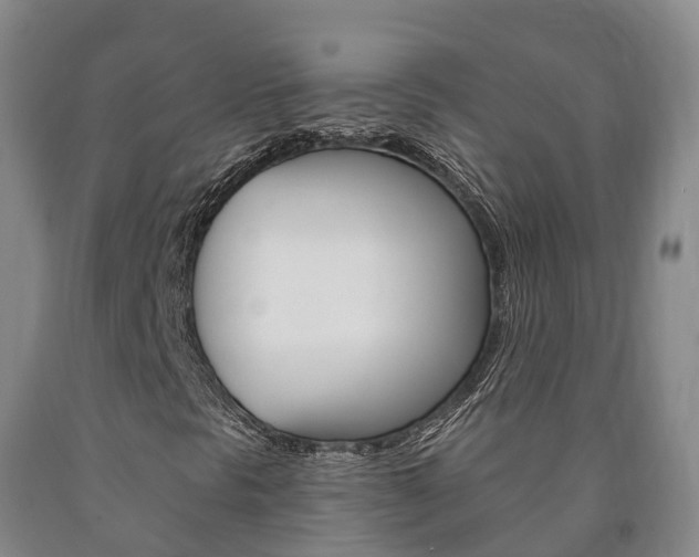 X0000090911297200707301024