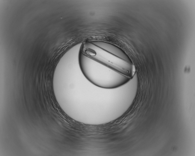 X0000090911298200707301024