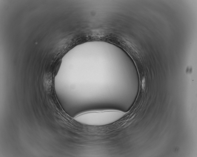 X0000090911299200707301024