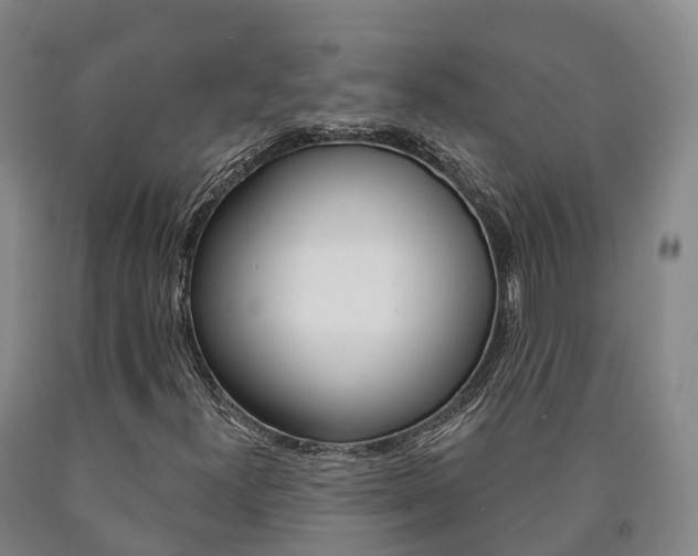 X0000090911300200707301024
