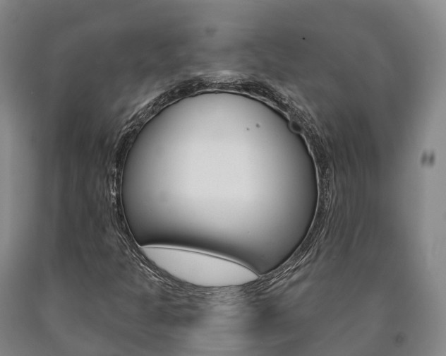 X0000090911301200707301024