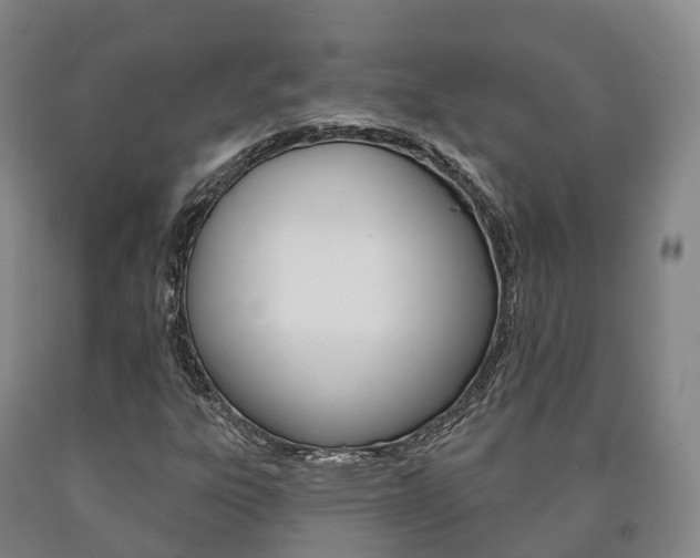 X0000090911303200707301024