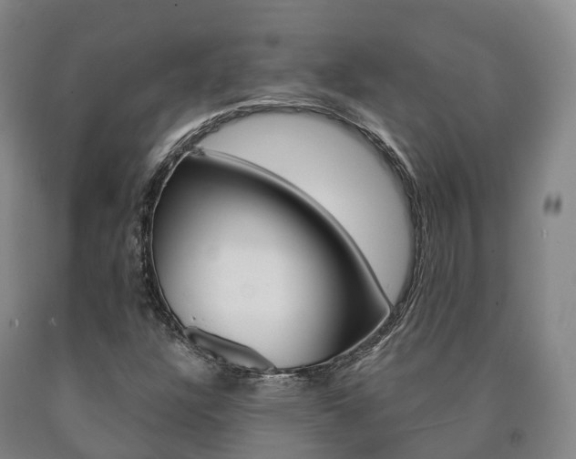 X0000090911304200707301024
