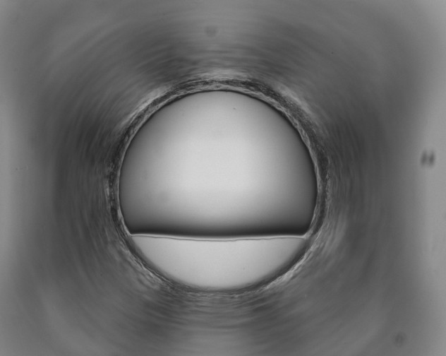 X0000090911305200707301024