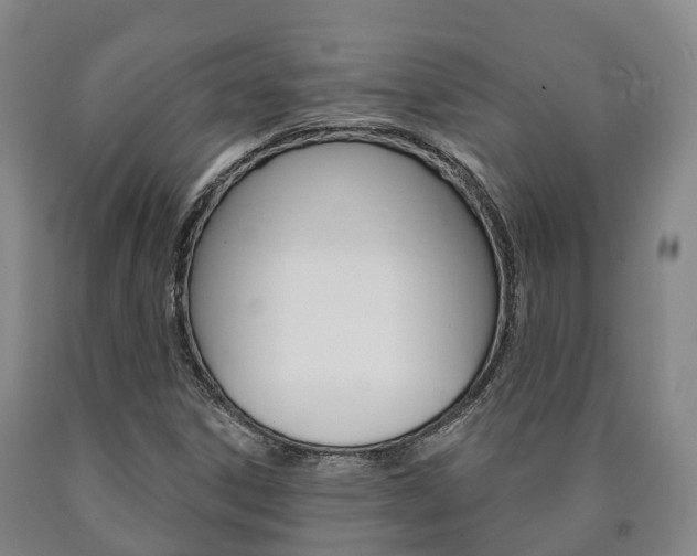 X0000090911306200707301024