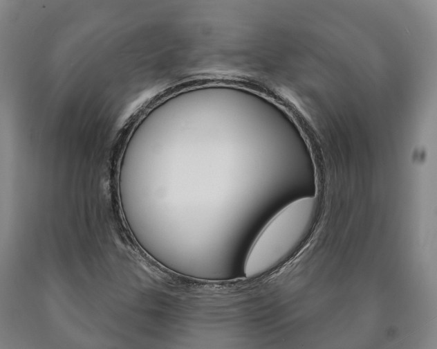 X0000090911307200707301024