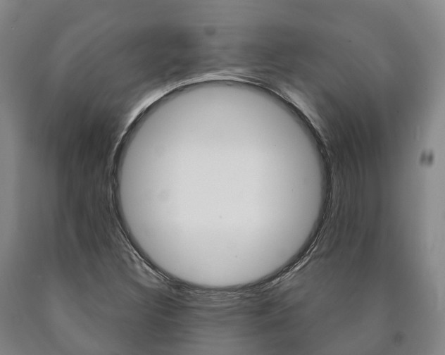 X0000090911308200707301024