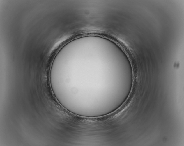 X0000090911309200707301024