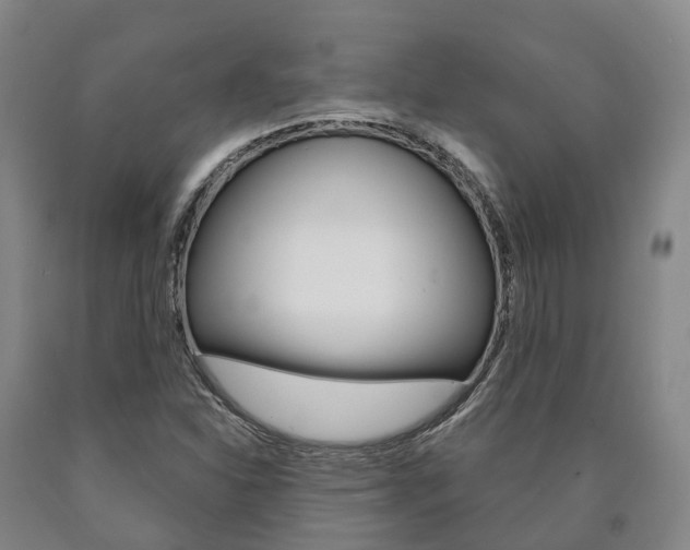 X0000090911310200707301024