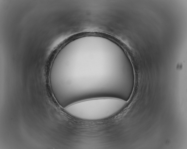 X0000090911311200707301024