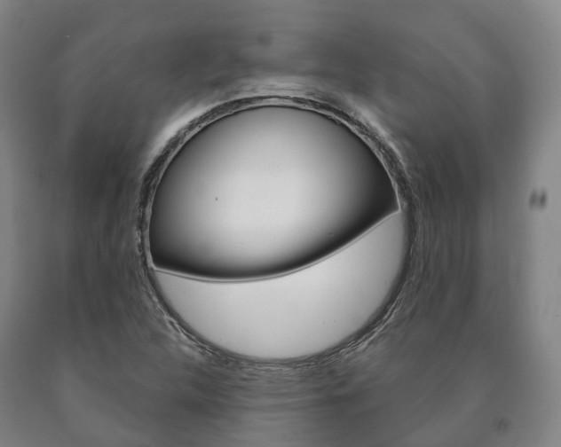 X0000090911312200707301024