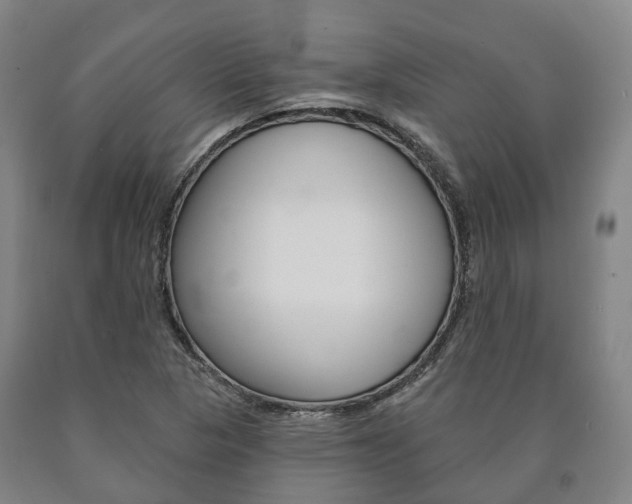 X0000090911313200707301024