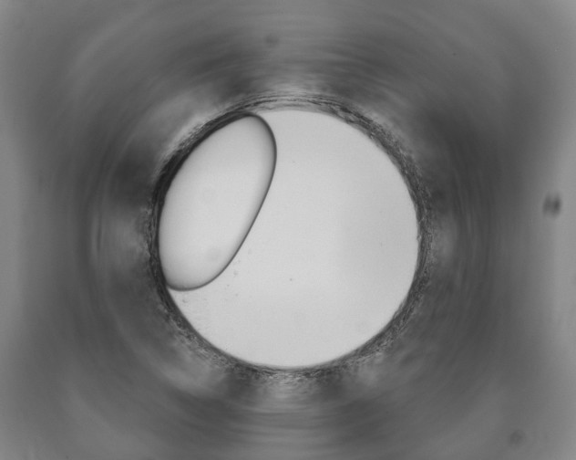 X0000090911314200707301024