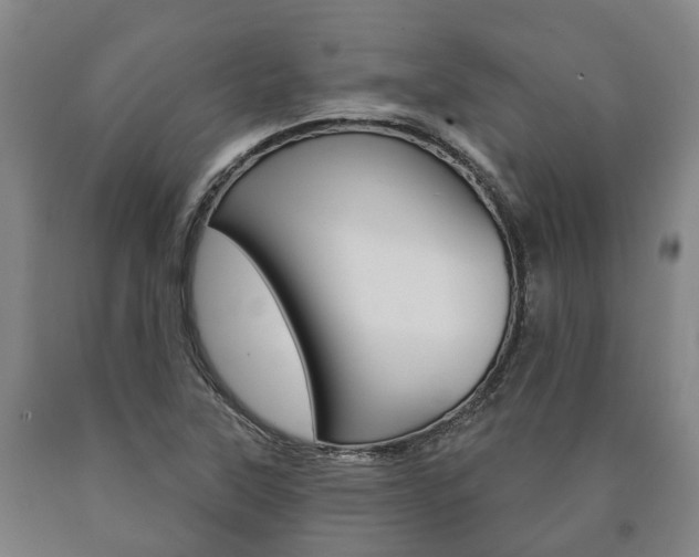 X0000090911315200707301024