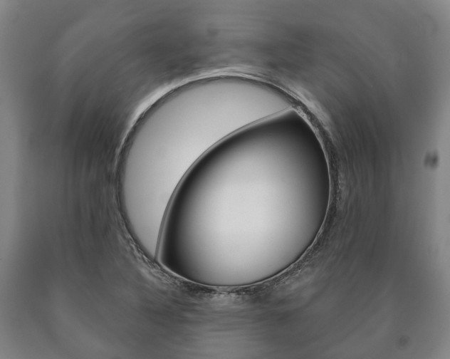 X0000090911316200707301024