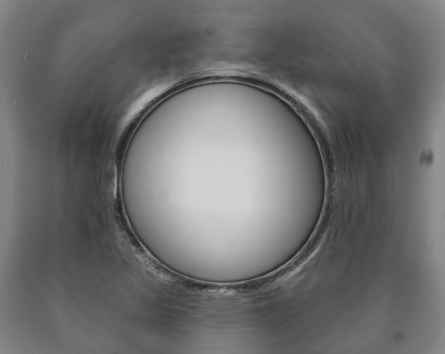 X0000090911317200707301024