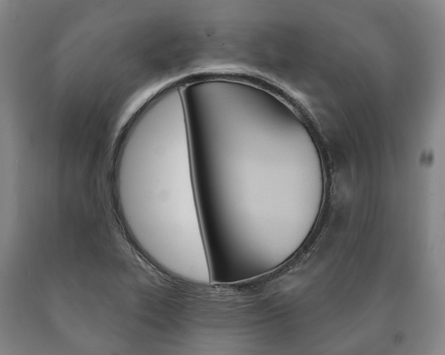 X0000090911319200707301024