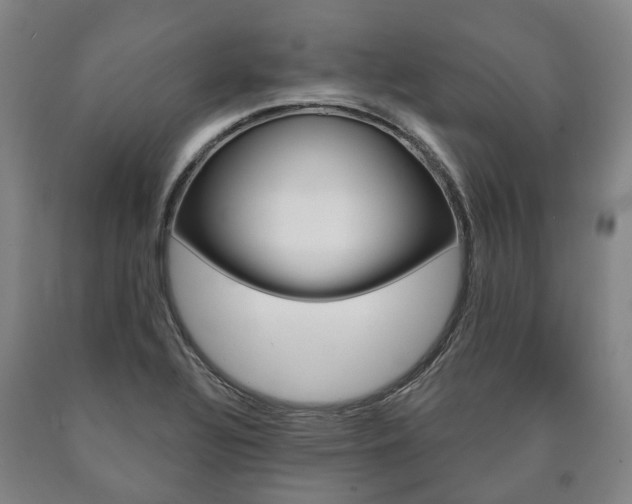 X0000090911320200707301024