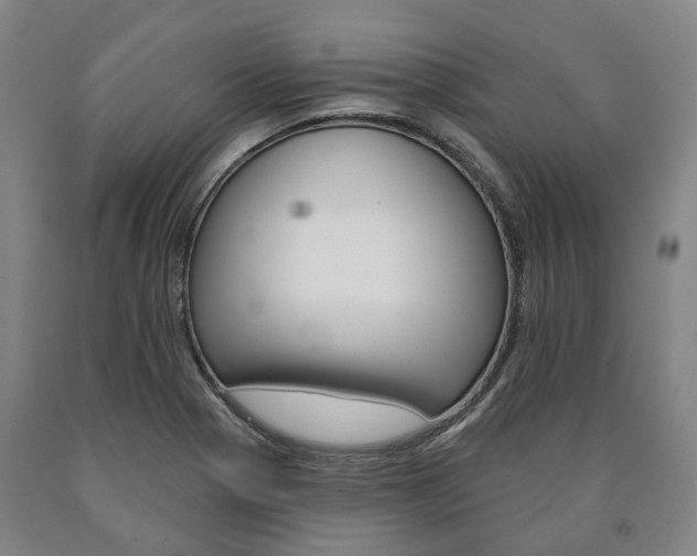 X0000090911321200707301024