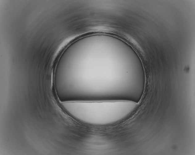 X0000090911323200707301024