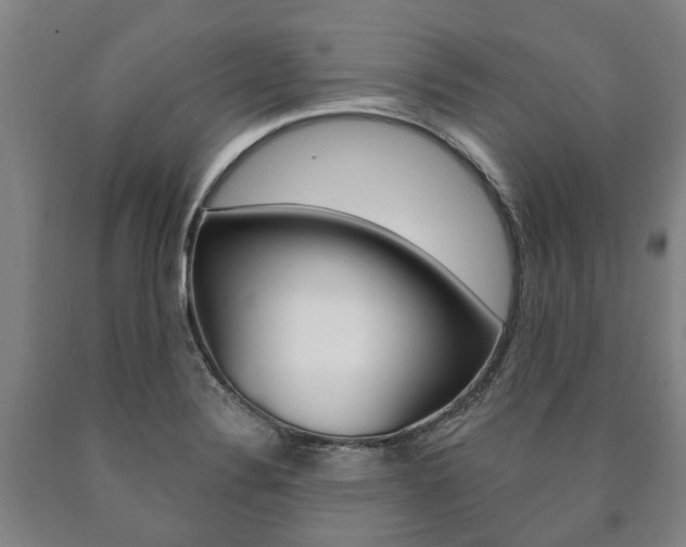 X0000090911324200707301024