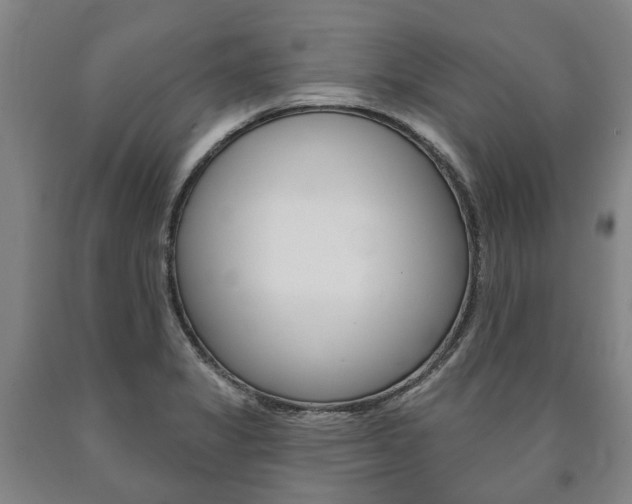 X0000090911325200707301024