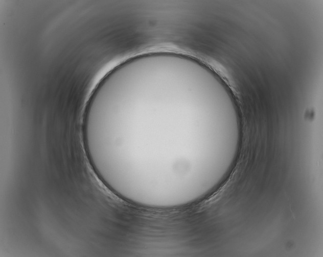 X0000090911326200707301024