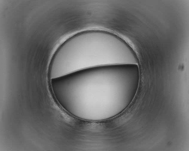 X0000090911327200707301024